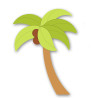 Dekorace Palma s kokosy